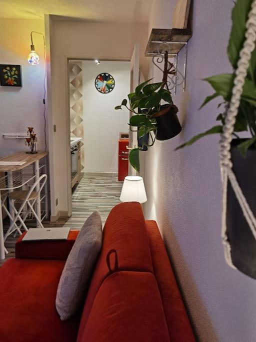 Cosy T1Bis Proche Centreville, Petit Port, Audencia نانت المظهر الخارجي الصورة